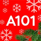 А101