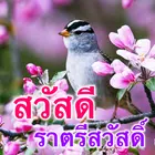 Thai Good Morning & Good Night
